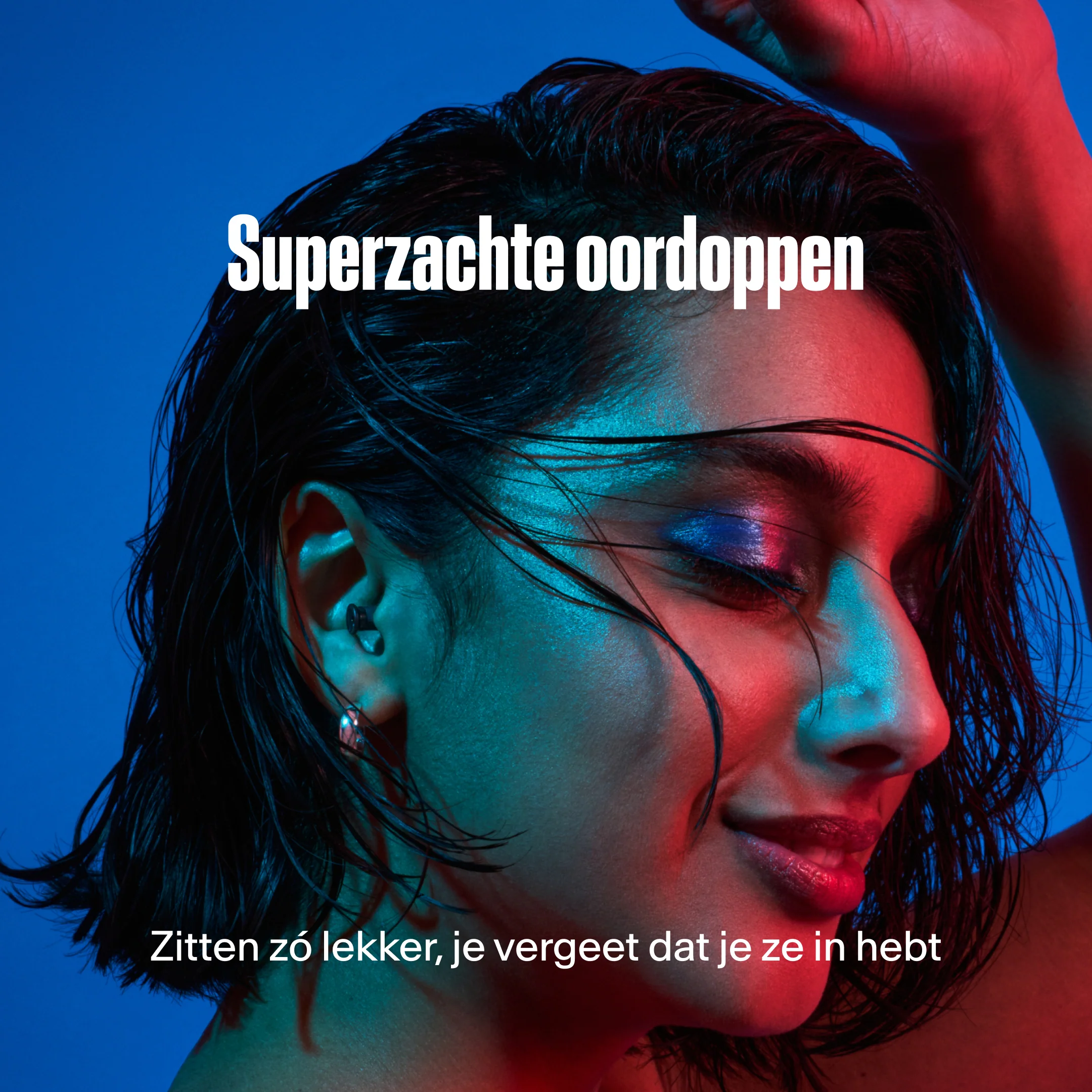 PartyPlug - Image 12